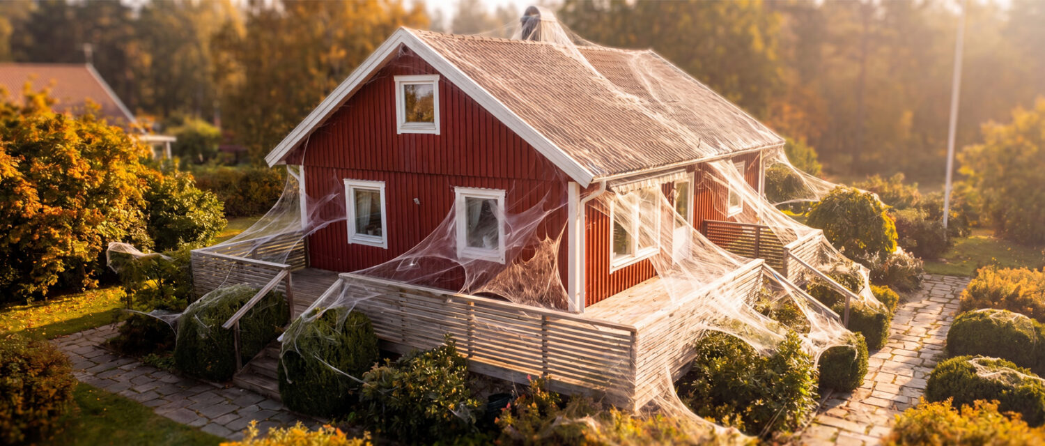 Spindelsanering – njut av altanen utan att städa bort nät varje dag